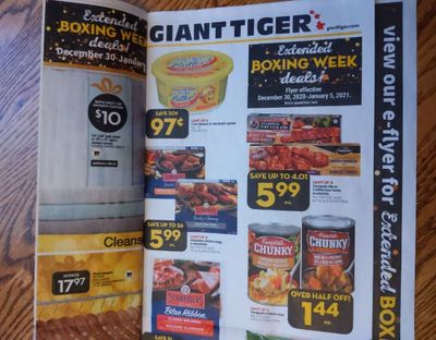 Giant Tiger Canada Flyer Deals December 30th – January 5th