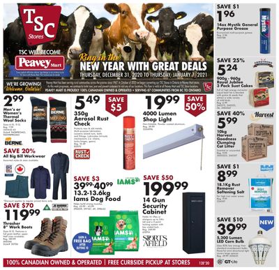 TSC Stores Flyer December 31 to January 7