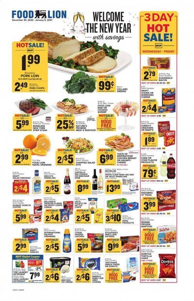 Food Lion (GA) Weekly Ad Flyer December 30 to January 5