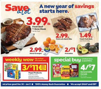 Save a Lot Weekly Ad Flyer December 30 to January 5