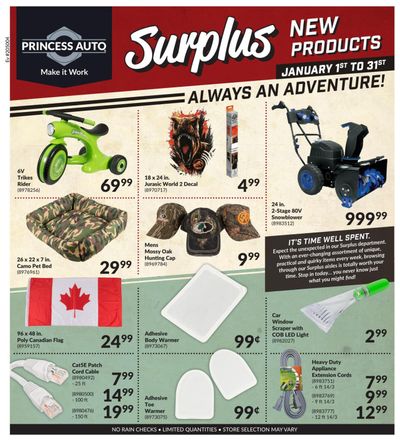 Princess Auto Surplus New Products Flyer January 1 to 31