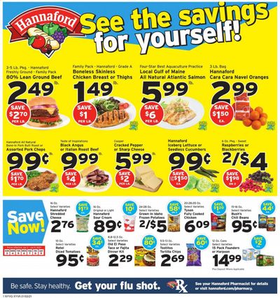 Hannaford (NY) Weekly Ad Flyer January 3 to January 9