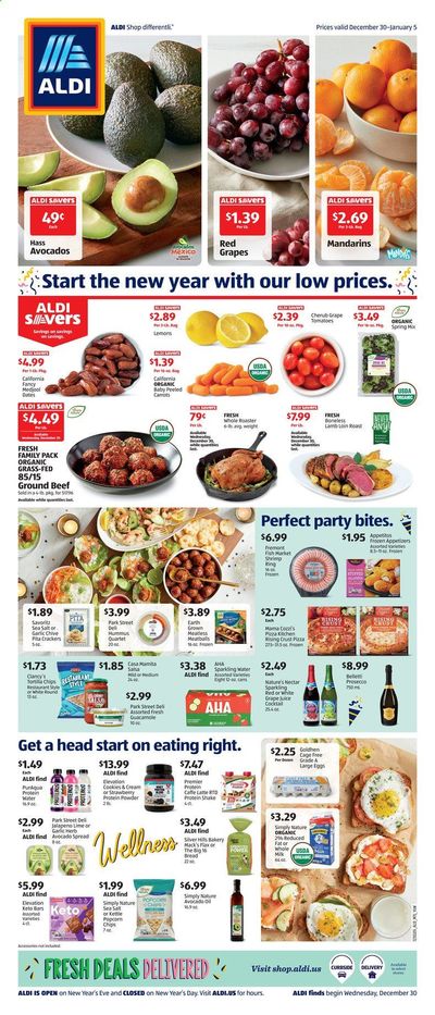 ALDI (GA, TN) Weekly Ad Flyer December 30 to January 5