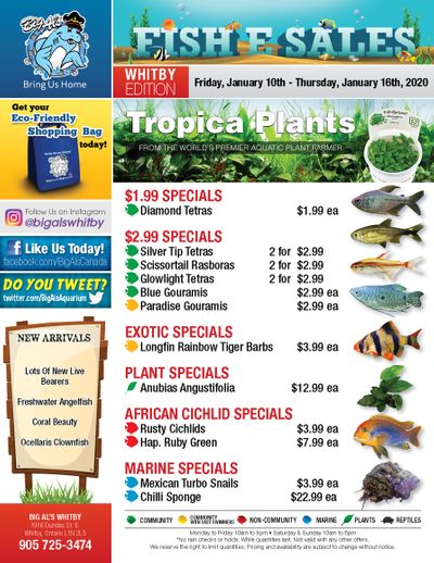 Big Al's (Whitby) Weekly Specials January 10 to 16