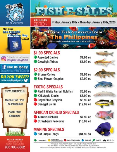 Big Al's (Vaughan) Weekly Specials January 10 to 16