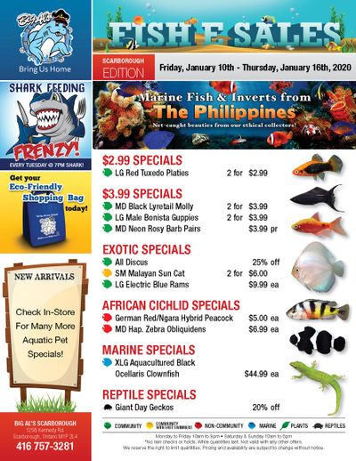 Big Al's (Scarborough) Weekly Specials January 10 to 16