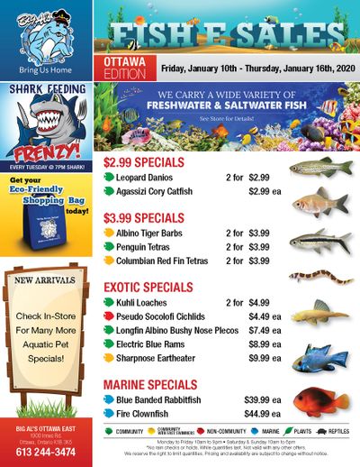 Big Al's (Ottawa East) Weekly Specials January 10 to 16