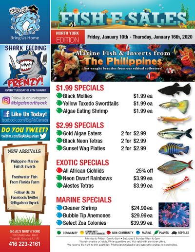 Big Al's (North York) Weekly Specials January 10 to 16