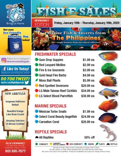 Big Al's (Newmarket) Weekly Specials January 10 to 16