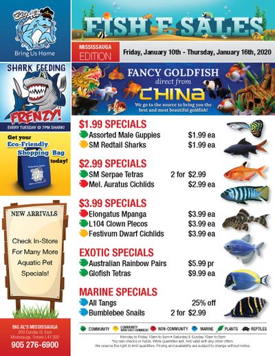 Big Al's (Mississauga) Weekly Specials January 10 to 16