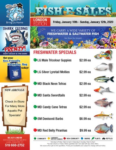 Big Al's (London) Weekend Specials January 10 to 12
