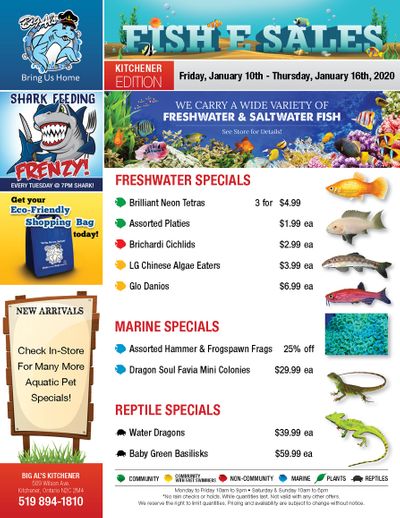 Big Al's (Kitchener) Weekly Specials January 10 to 16