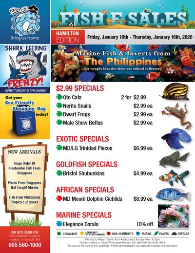 Big Al's (Hamilton) Weekly Specials January 10 to 16