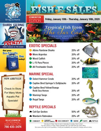 Big Al's (Edmonton) Weekly Specials January 10 to 16 Big Al's (Edmonton) Weekly Specials January 10 to 16