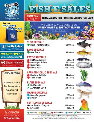 Big Al's (Brampton) Weekly Specials January 10 to 16