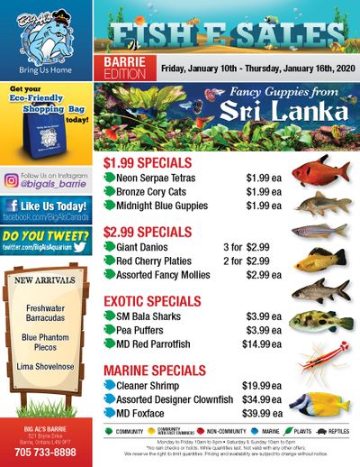 Big Al's (Barrie) Weekly Specials January 10 to 16