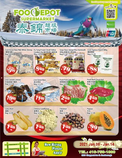 Food Depot Supermarket Flyer January 8 to 14