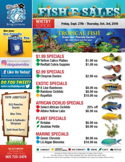 Big Al's (Whitby) Weekly Specials September 27 to October 3