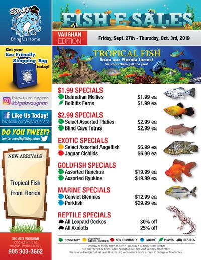 Big Al's (Vaughan) Weekly Specials September 27 to October 3