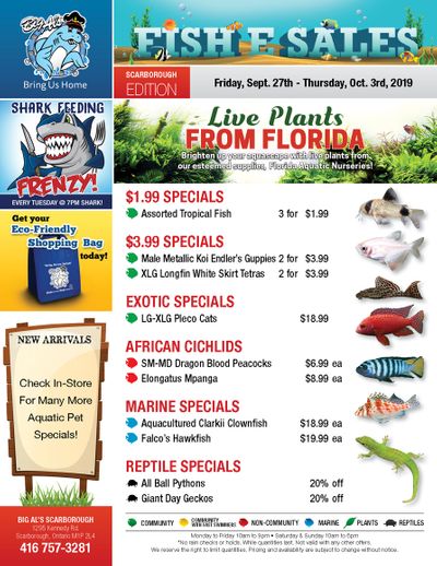 Big Al's (Scarborough) Weekly Specials September 27 to October 3
