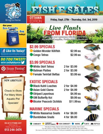 Big Al's (Ottawa East) Weekly Specials September 27 to October 3