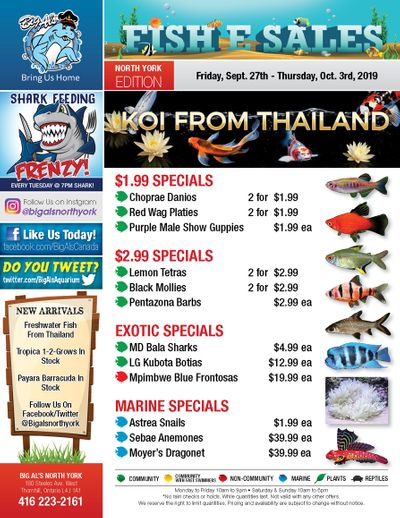 Big Al's (North York) Weekly Specials September 27 to October 3