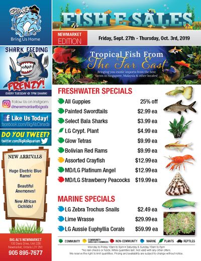 Big Al's (Newmarket) Weekly Specials September 27 to October 3