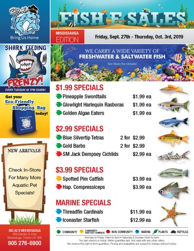 Big Al's (Mississauga) Weekly Specials September 27 to October 3