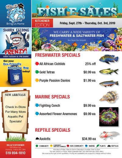 Big Al's (Kitchener) Weekly Specials September 27 to October 3