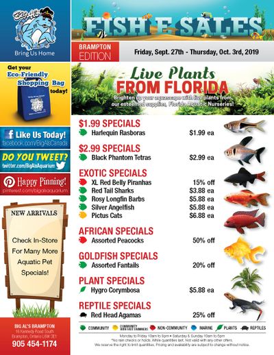 Big Al's (Brampton) Weekly Specials September 27 to October 3