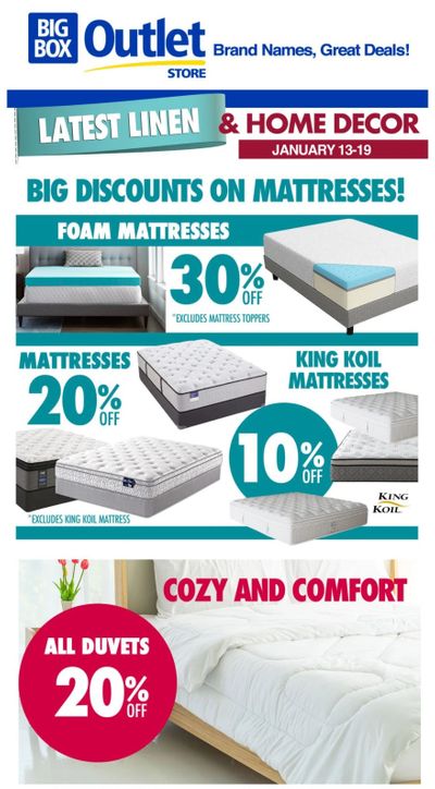 Big Box Outlet Store Flyer January 13 to 19