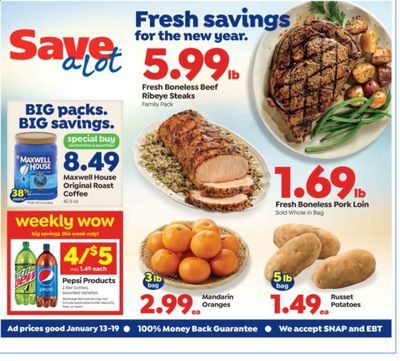 Save a Lot Weekly Ad Flyer January 13 to January 19