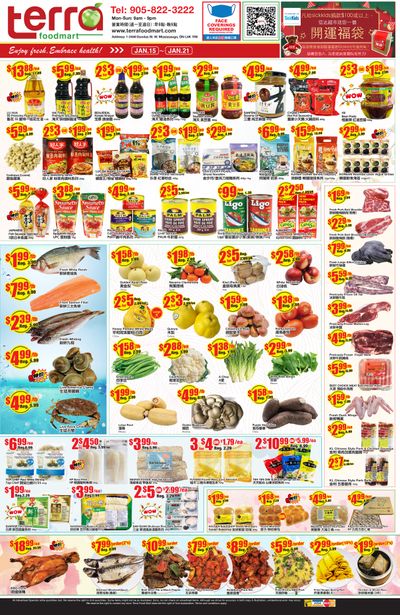 Terra Foodmart Flyer January 15 to 21