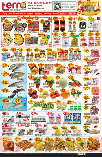 Terra Foodmart Flyer January 17 to 23