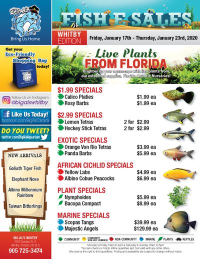 Big Al's (Whitby) Weekly Specials January 17 to 23
