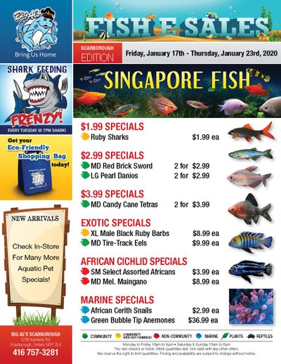 Big Al's (Scarborough) Weekly Specials January 17 to 23