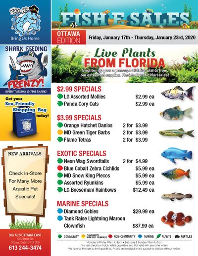 Big Al's (Ottawa East) Weekly Specials January 17 to 23
