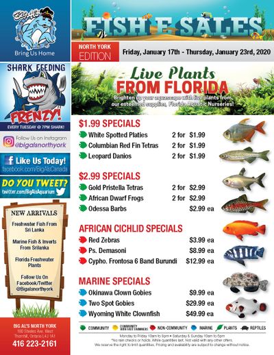 Big Al's (North York) Weekly Specials January 17 to 23