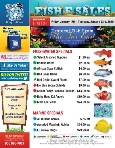 Big Al's (Newmarket) Weekly Specials January 17 to 23