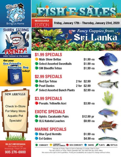 Big Al's (Mississauga) Weekly Specials January 17 to 23