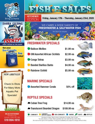 Big Al's (Kitchener) Weekly Specials January 17 to 23