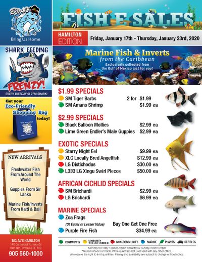 Big Al's (Hamilton) Weekly Specials January 17 to 23