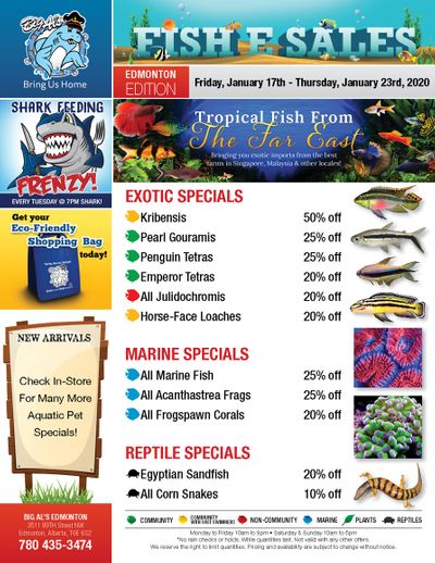 Big Al's (Edmonton) Weekly Specials January 17 to 23