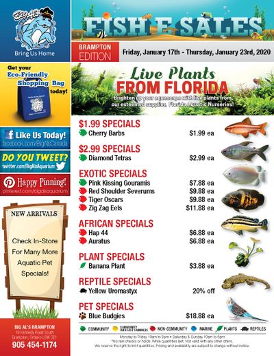 Big Al's (Brampton) Weekly Specials January 17 to 23