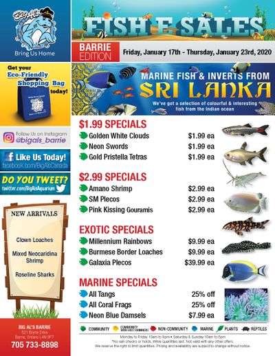 Big Al's (Barrie) Weekly Specials January 17 to 23 Big Al's (Barrie) Weekly Specials January 17 to 23