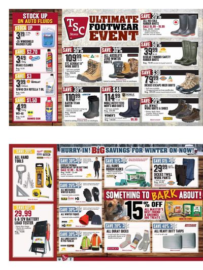TSC Stores Flyer January 24 to 30