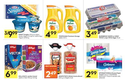 Foodland Ontario: SpongeTowels Econo 99 Cents After Coupon!