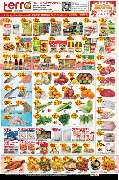Terra Foodmart Flyer January 24 to 30