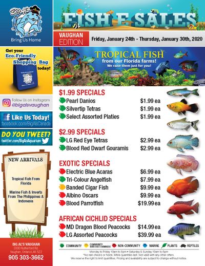 Big Al's (Vaughan) Weekly Specials January 24 to 30