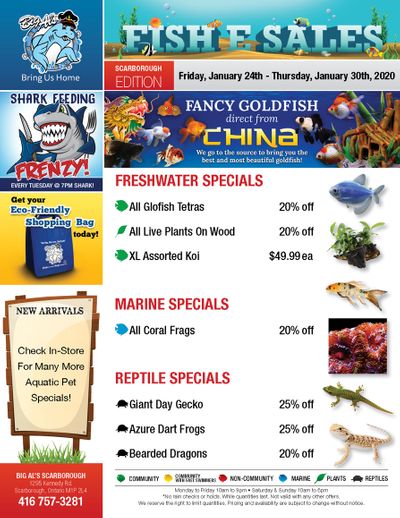 Big Al's (Scarborough) Weekly Specials January 24 to 30